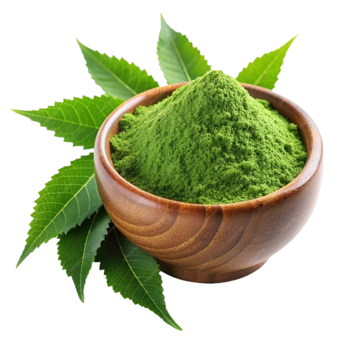 8 https://tatvakrishna.com/wp-content/uploads/2026/04/8.png